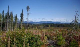 Northern Gateway Pipeline Project
