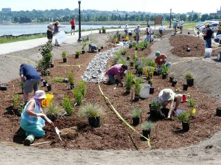 Portland Back Cove Rain Garden