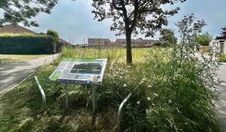 Derringham Aqua Greens Concept Design and Implementation