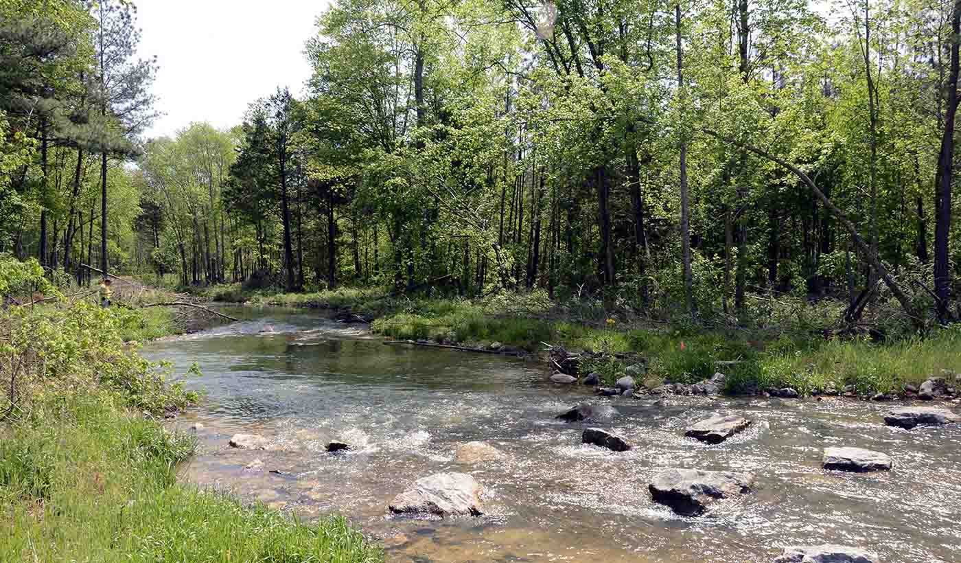 How two scientists collaborated to develop a tool for better stream restoration design