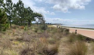 NAS Pensacola Complex - Hurricane Sally Recovery Repairs