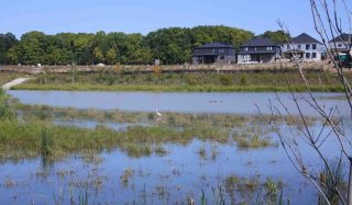 North Lambeth Stormwater Management Facility P9 - Runoff Mitigation