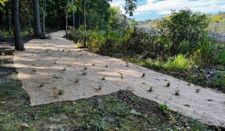Pontiac Oaks Shoreline Restoration and Invasive Species Management