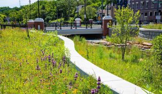 Lick Run Greenway Conveyance Project