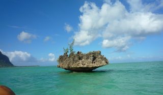 Support Facility for the Development of INDCs for Submission to UNFCCC