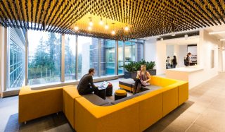 Office acoustics: Why noise matters and how to get it right
