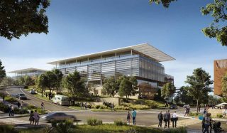 Austin Oaks Computational Studies