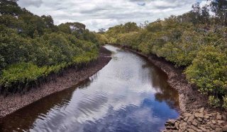 Lota Creek Catchment Flood Study Update