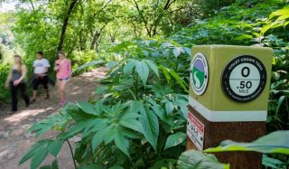 Violet Crown Regional Trail System