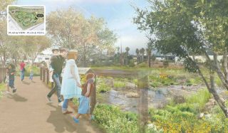 Bowtie Wetland Demonstration