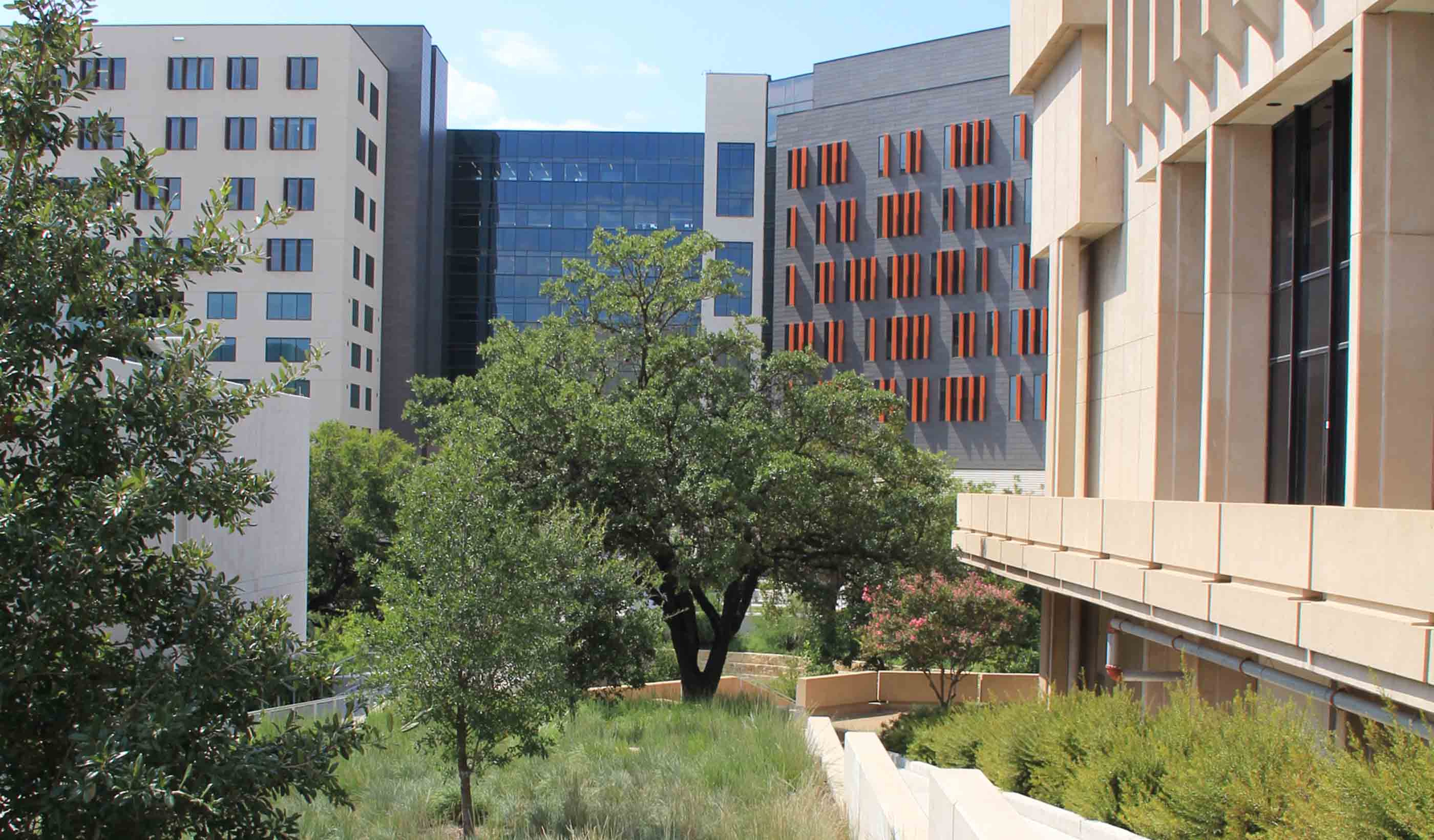 University of Texas at Austin - Dell Medical District