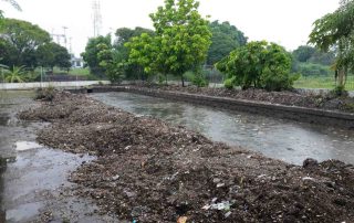 Multi-Country Twinning Program for Fecal Sludge Management