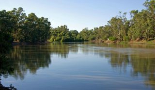 Predictive and Operational Analytics