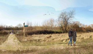 Burpham Court Farm Nature Reserve