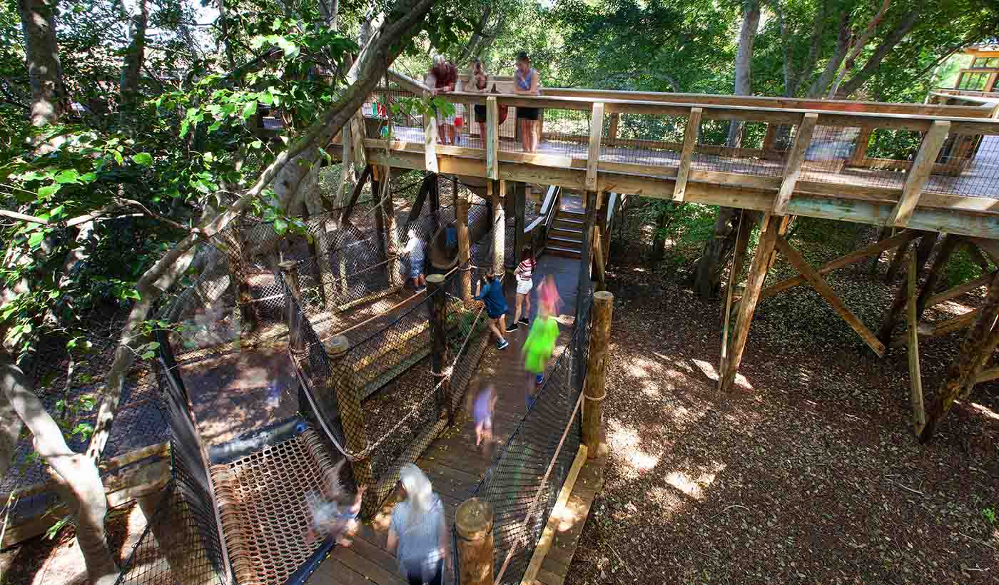 For your next urban playground or revitalization, consider nature-based solutions