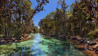 Three Sisters Springs Bank Stabilization