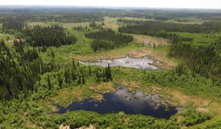 Meadow Creek West SAGD, Environmental Impact Assessment