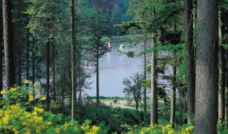 Center Parcs Reservoir Supervision