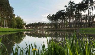 Center Parcs - Woburn Forest