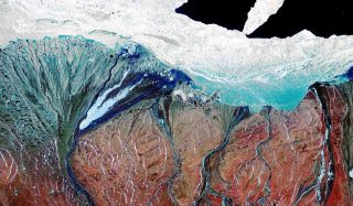 Marine Arctic Ecosystem Study