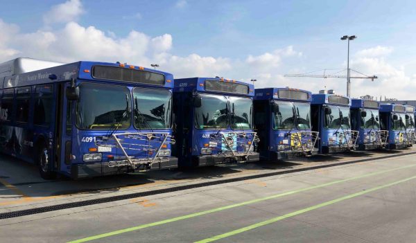 Buses parked in a row