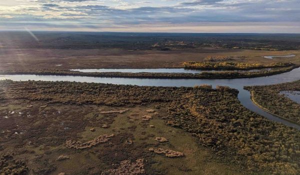 Aerial view of the river and tributaries, surrounded by forest and open land.
