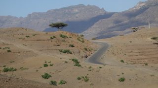 Establishing green governance in Ethiopia 
