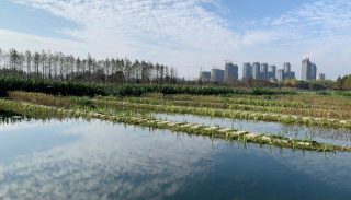 Asian Development Bank Water and Sponge City