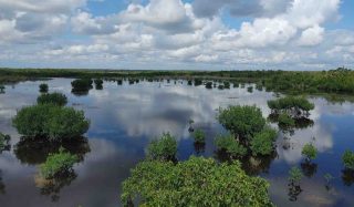 Picayune Watershed Water Quality Feasibility Study