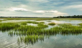 Manitoba Flood Diversion - Digital Services