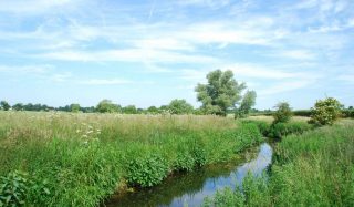 AMP6 Restoring Sustainable Abstraction Program