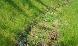 Nitrate Modeling in Chalk Aquifers