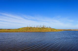 Stantec adds team of environmental scientists to Gulf Environmental Services Practice