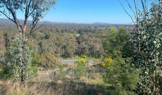 Balmattum Hill Mountain Bike Trail Business Case