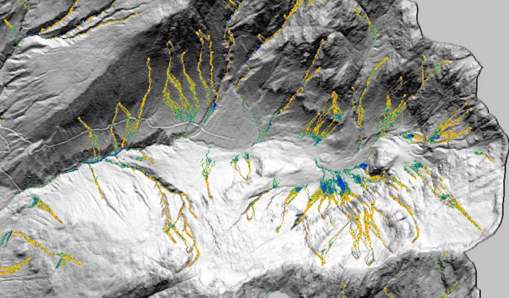 DebrisFlow Predictor: an agent-based runout program for shallow landslides