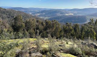 Mt. Tumbarumba Adventure Park MTB Trails - Impact Assessments