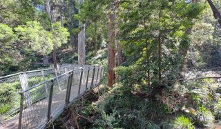 Narooma Mountain Bike (MTB) Trail Network Stage 2