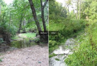 Mechumps Creek Corridor Stream Restoration