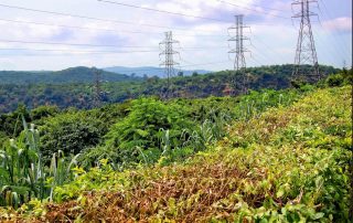 Stantec selected to support development of the African Single Electricity Market