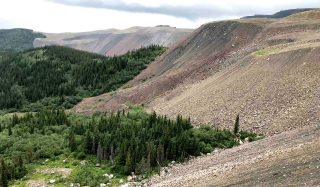 Caribou Habitat Restoration Model