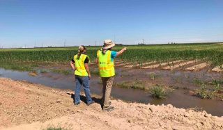 Roosevelt Irrigation District On-call Engineering Services