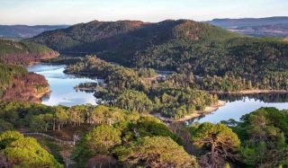 Economic Impact Assessment of Forest-Based Activities in Scotland