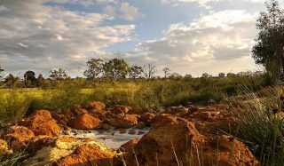 The Glades at Byford