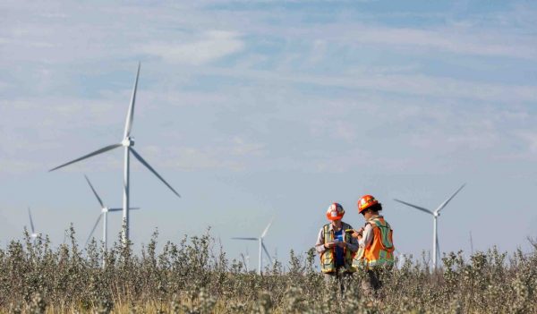 Two environmental engineers in field with wind turbines in the background.