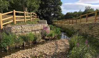 Dunsbury Park River Restoration