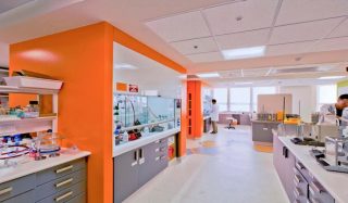 University of Melbourne, Building 184 Laboratories