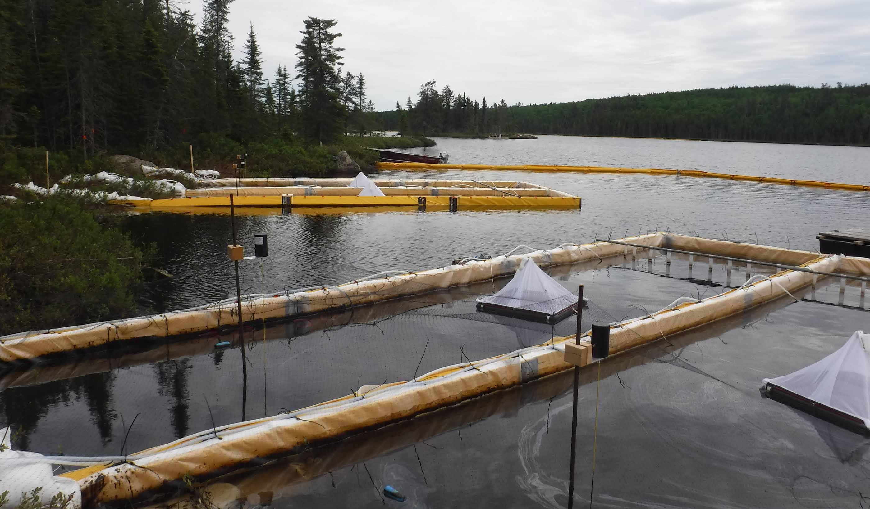 Assessing the use of a SWA for treating oil spills in Canada’s freshwater environments
