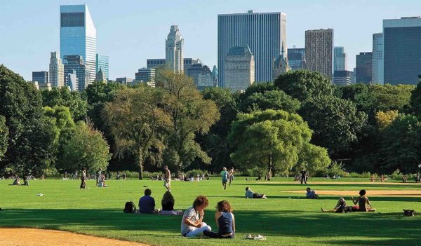 People sitting in an open grass area in Central Park, with the NY City skyline in the background.
