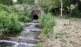Lukely Brook National Environment Programme: Fish passage enhancements