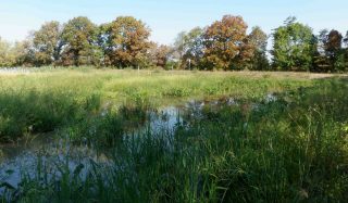 Great Miami Mitigation Bank